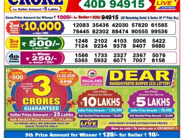 Dear lottery 8 PM Results 31.01.2026