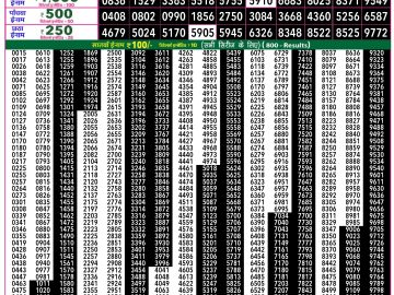 Rajshree 50 Shani Weekly lottery 07.30PM 31.01.2026