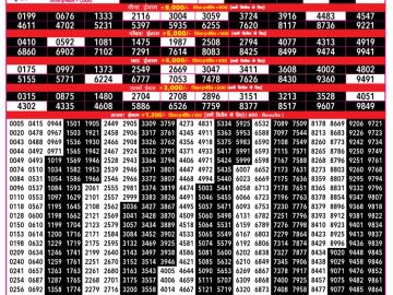 Rajshree 500 Monthly Result 06:30 PM 13.01.2026