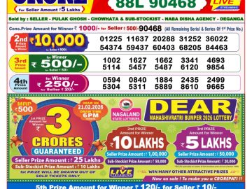 Dear lottery 8 PM Results 14.02.2026