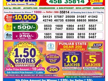 Dear lottery 8 PM Results 28.02.2026