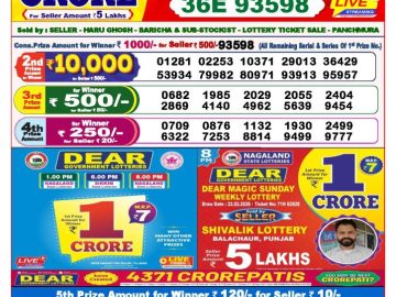 Dear lottery 8 PM Results 25.02.2026
