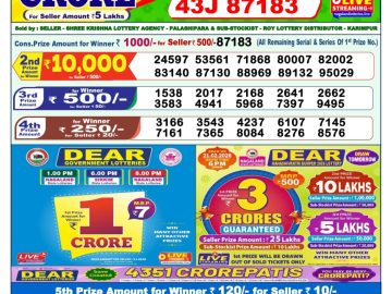 Dear lottery 1 PM Results 20.02.2026