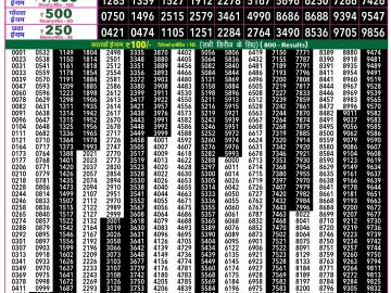 Rajshree 50 Shani Weekly lottery 07.30PM 28.02.2026