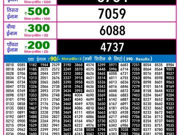 Rajshree 30 Ravi Weekly lottery 09.00PM 01.02.2026