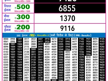 Rajshree 30 Shani Weekly lottery 09.00PM 14.02.2026