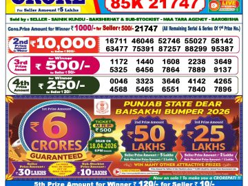 Dear lottery 6 PM Results 31.03.2026