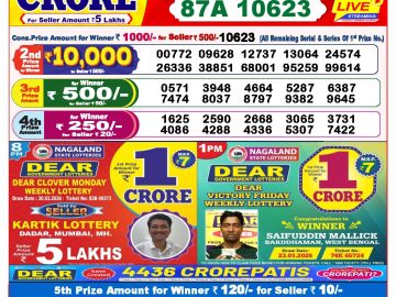 Dear lottery 8 PM Results 31.03.2026
