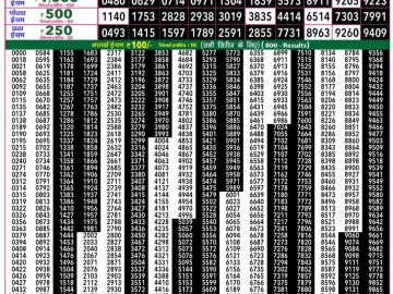 Rajshree 50 Ravi Weekly lottery 07.30PM 08.03.2026