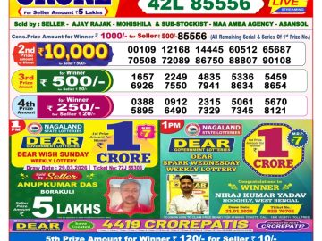 Dear lottery 8 PM Results 29.03.2026