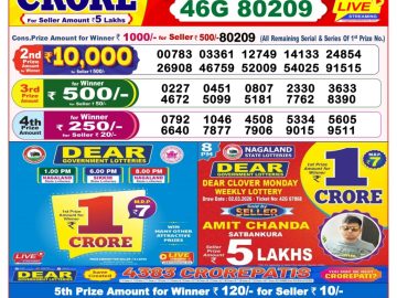 Dear lottery 8 PM Results 03.03.2026