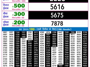 Rajshree 30 Shani Weekly lottery 09.00PM 11.04.2026