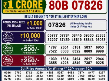 Dear lottery 6 PM Results 17.05.2026