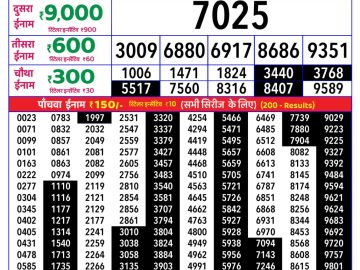 Rajshree Lily lottery 04:00 PM 27.05.2026