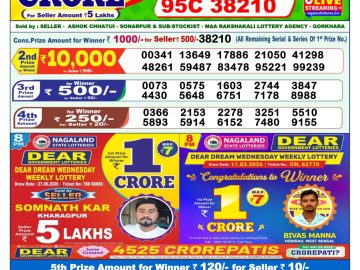 Dear lottery 1 PM Result 29.05.2026