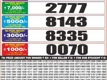 Punjab State Dear 20 Monthly lottery Result 26.05.2026 7:00PM