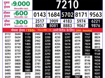 Rajshree Sunflower lottery 04:00 PM 10.05.2026