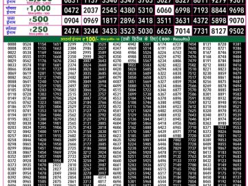 Rajshree 50 Som Weekly lottery 07.30PM 08.06.2026