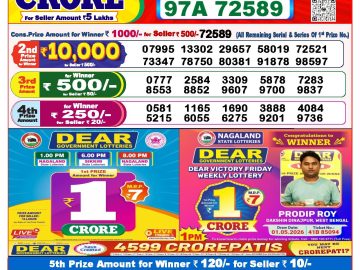 Dear lottery 8 PM Results 11.07.2026
