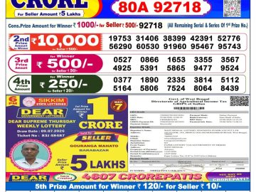 Dear lottery 6 PM Results 13.07.2026