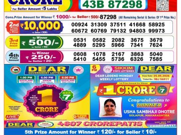 Dear lottery 8 PM Results 17.07.2026