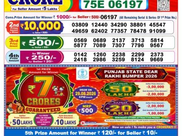 Dear lottery 8 PM Result 23.08.2026