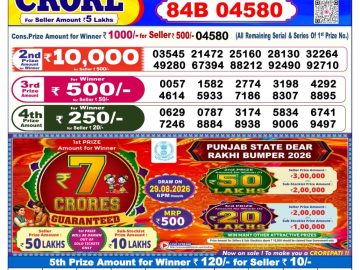 Dear lottery 6 PM Result 04.08.2026