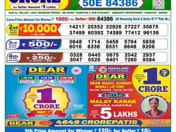 Dear lottery 1 PM Result 13.08.2026