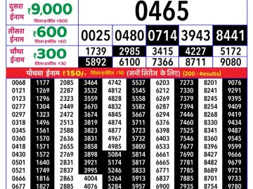 Rajshree Tuesday Weekly lottery 08.00PM 18.08.2026