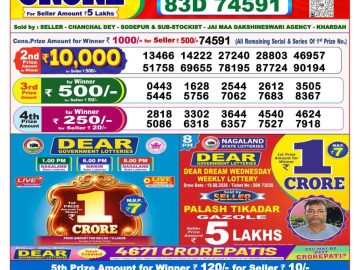 Dear lottery 8 PM Result 26.08.2026