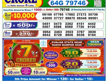 Dear lottery 1 PM Result 28.08.2026