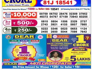Dear lottery 6 PM Result 29.08.2026