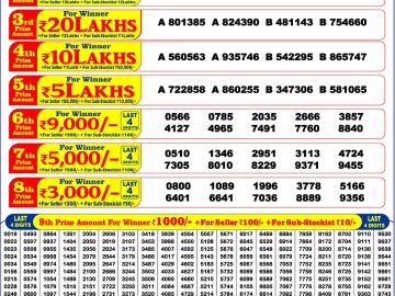 Punjab State Dear Rakhi Bumper lottery Result 29.08.2026 6:00PM