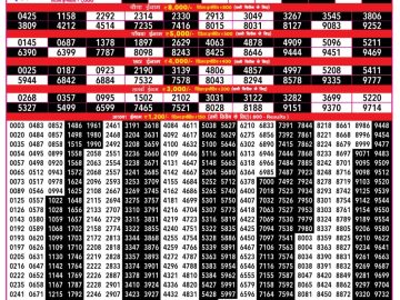 Rajshree 500 Monthly lottery 06.30PM 08.09.2026