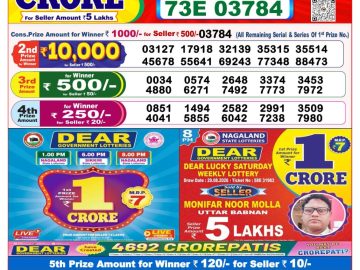 Dear lottery 8 PM Result 08.09.2026