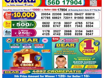 Dear lottery 8 PM Result 13.09.2026