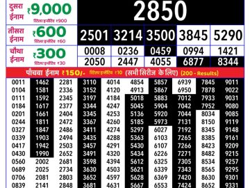 Rajshree Tuesday Weekly lottery 08.00PM 15.09.2026