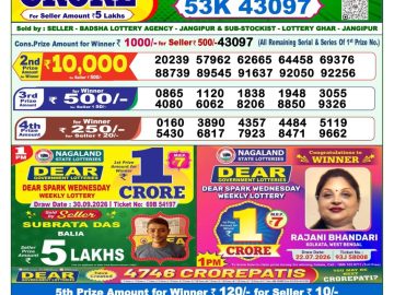 Dear lottery 1 PM Result 08.10.2026