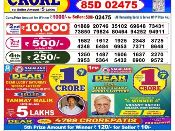 Dear lottery 6 PM Result 23.10.2026