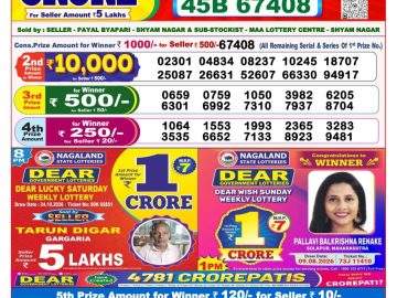Dear lottery 8 PM Result 30.10.2026